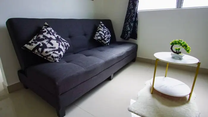 The sofa and coffee table
