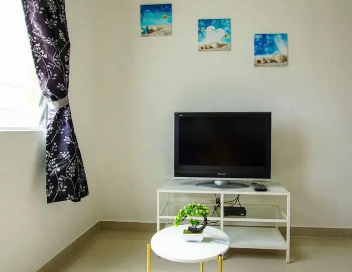 The television and living area
